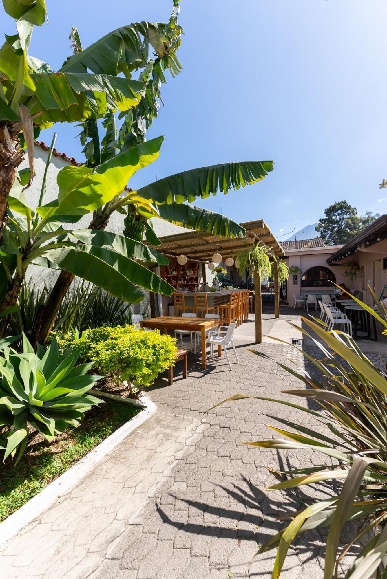 Maya Papaya Antigua Exteriér fotografie